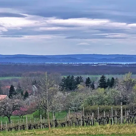 Cinegefeszek Nyaralohaz 別荘