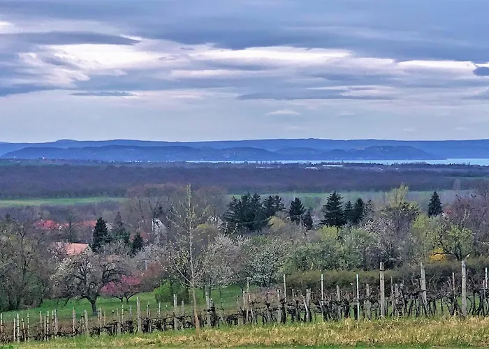 Cinegefeszek Nyaralohaz בית נופש